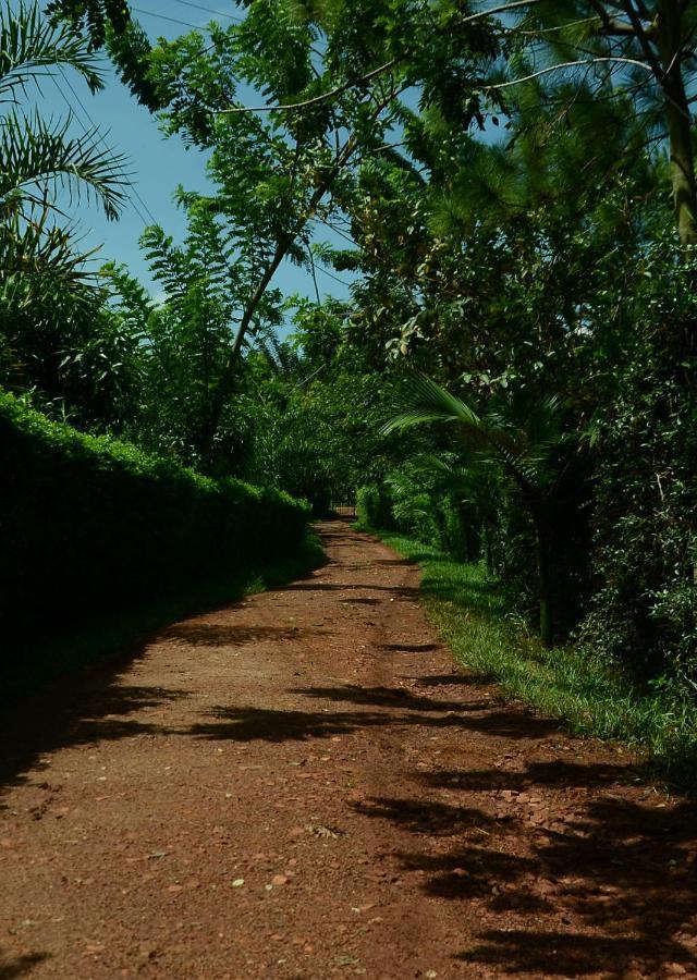 Tusubira Village Jinja Exterior photo